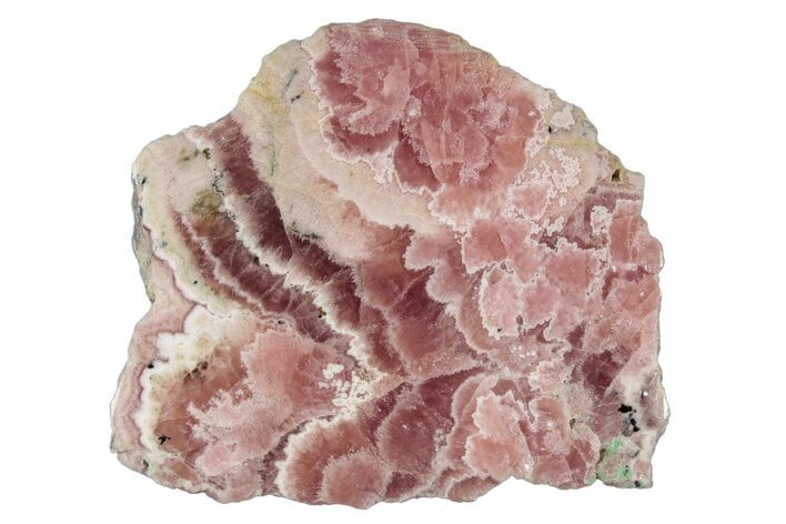 Polished Banded Rhodochrosite Slab - Argentina #281795